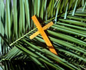 Palm and Cross Photo